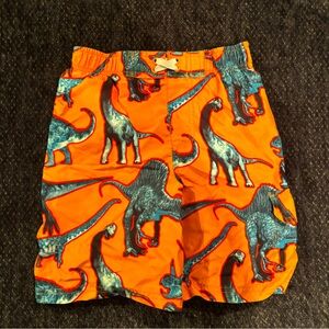 Orange Dinosaur Print Swim Trunks